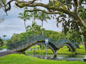 Green Campus