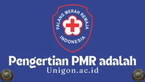 Pengertian PMR adalah