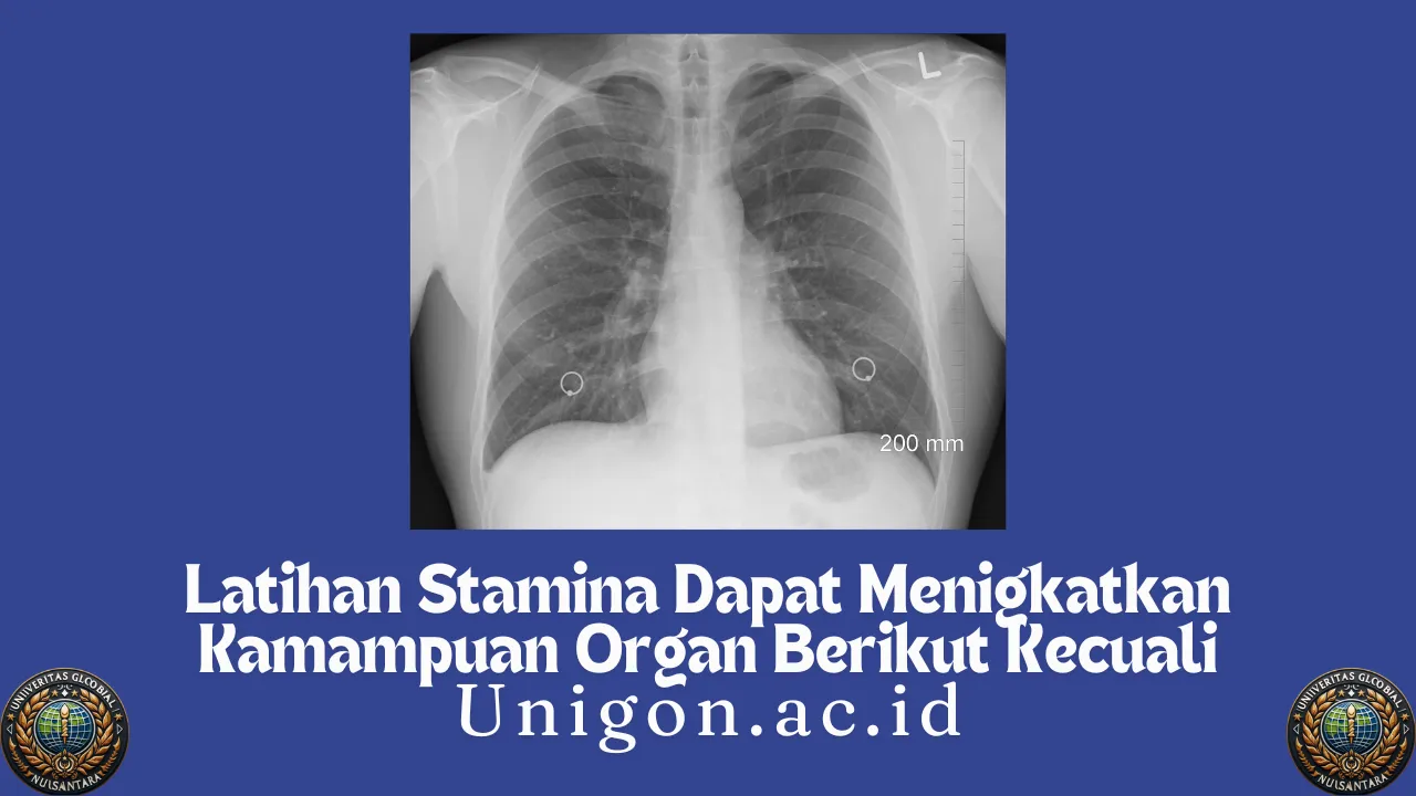 Latihan Stamina Dapat Menigkatkan Kamampuan Organ Berikut Kecuali