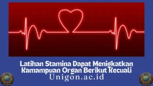 Latihan Stamina Dapat Menigkatkan Kamampuan Organ Berikut Kecuali