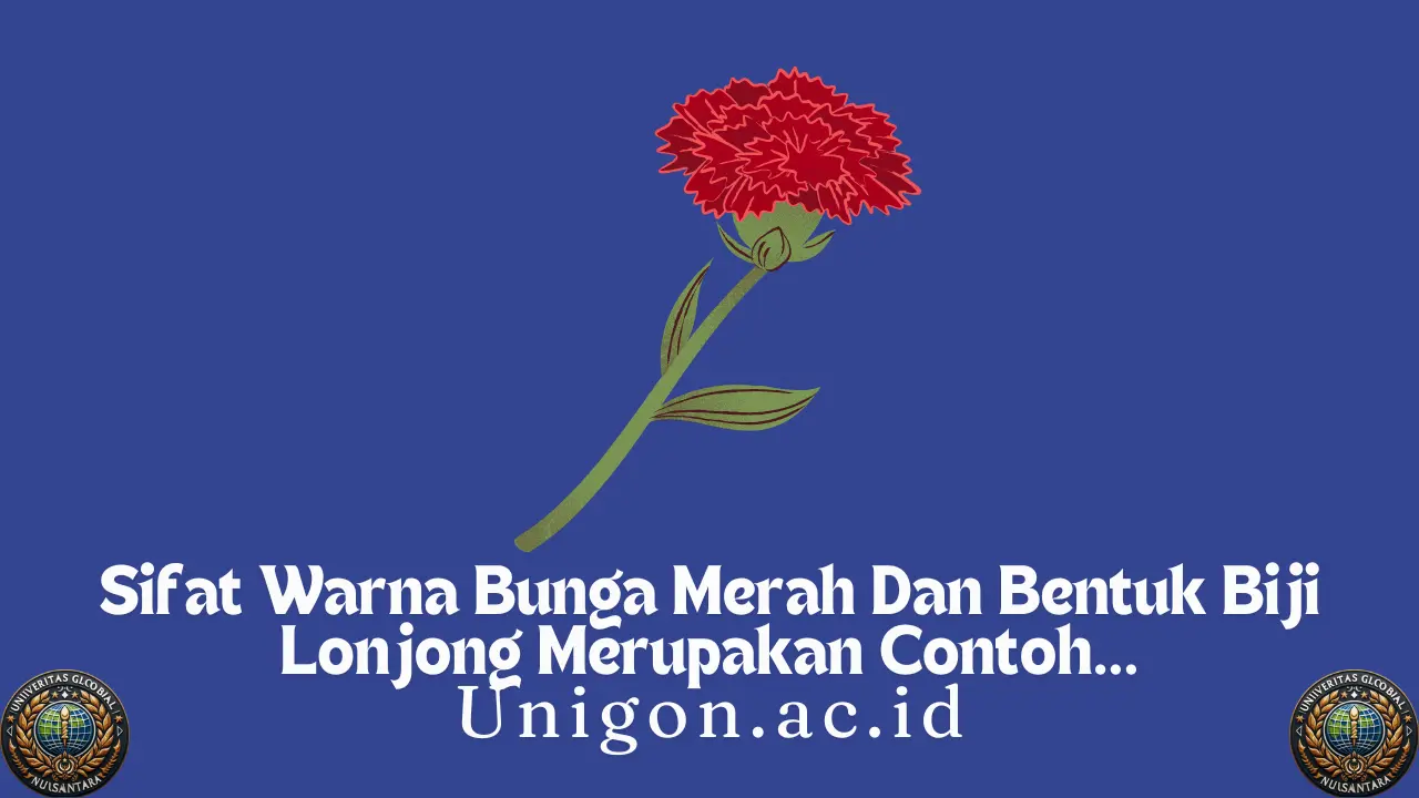 Sifat Warna Bunga Merah Dan Bentuk Biji Lonjong Merupakan Contoh