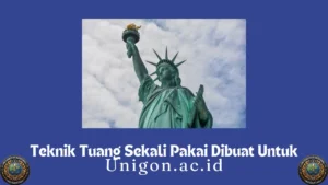 Teknik Tuang Sekali Pakai Dibuat Untuk